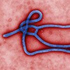 Ebola Resources